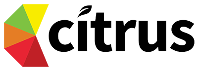 Consulting Projects